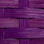 Grape Lavender