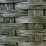 Black Walnut